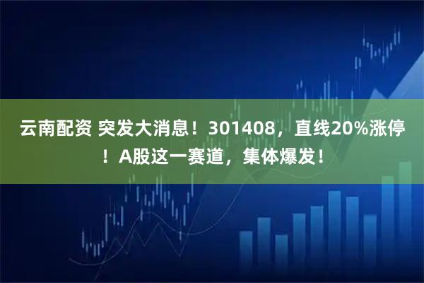 云南配资 突发大消息！301408，直线20%涨停！A股这一赛道，集体爆发！